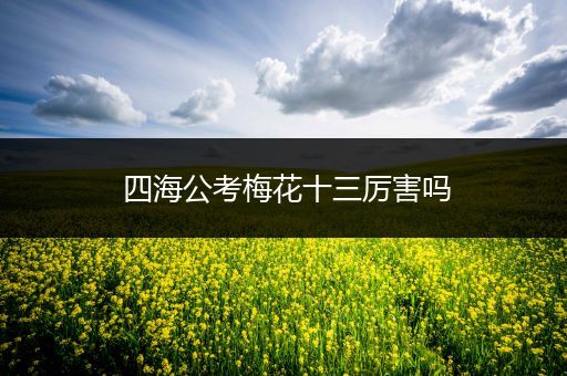 四海公考梅花十三厉害吗