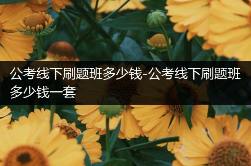 公考线下刷题班多少钱-公考线下刷题班多少钱一套