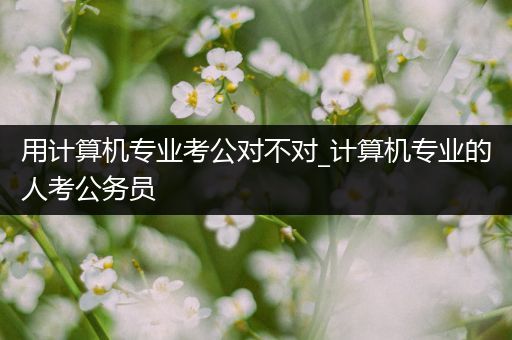 用计算机专业考公对不对_计算机专业的人考公务员