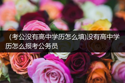 （考公没有高中学历怎么填)没有高中学历怎么报考公务员