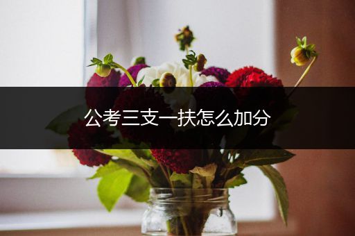 公考三支一扶怎么加分