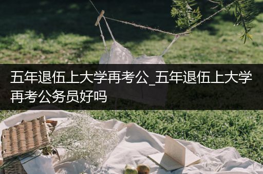 五年退伍上大学再考公_五年退伍上大学再考公务员好吗
