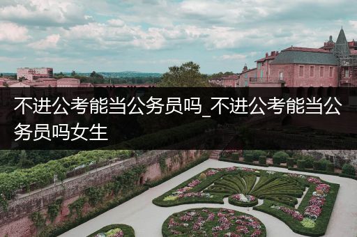 不进公考能当公务员吗_不进公考能当公务员吗女生