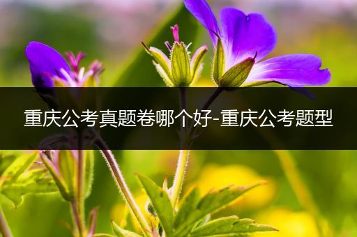 重庆公考真题卷哪个好-重庆公考题型