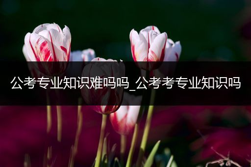 公考专业知识难吗吗_公考考专业知识吗