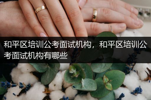 和平区培训公考面试机构，和平区培训公考面试机构有哪些