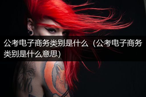 公考电子商务类别是什么（公考电子商务类别是什么意思）