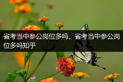 省考当中参公岗位多吗，省考当中参公岗位多吗知乎