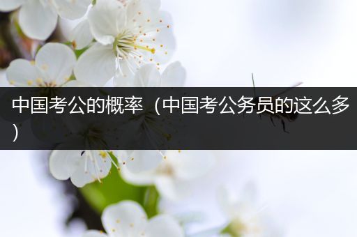 中国考公的概率（中国考公务员的这么多）