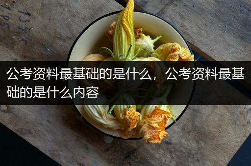 公考资料最基础的是什么，公考资料最基础的是什么内容