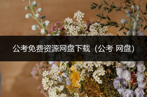 公考免费资源网盘下载（公考 网盘）