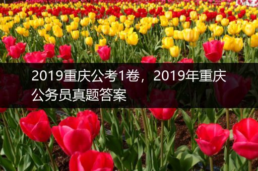 2019重庆公考1卷，2019年重庆公务员真题答案