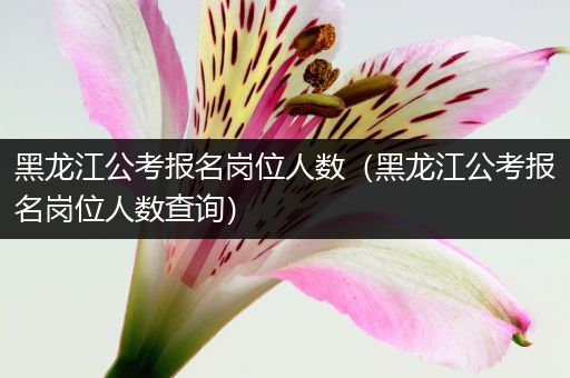 黑龙江公考报名岗位人数（黑龙江公考报名岗位人数查询）