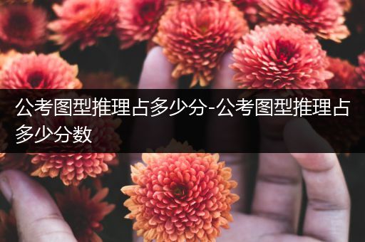 公考图型推理占多少分-公考图型推理占多少分数