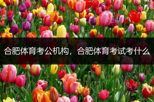 合肥体育考公机构，合肥体育考试考什么