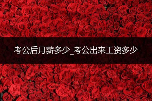 考公后月薪多少_考公出来工资多少