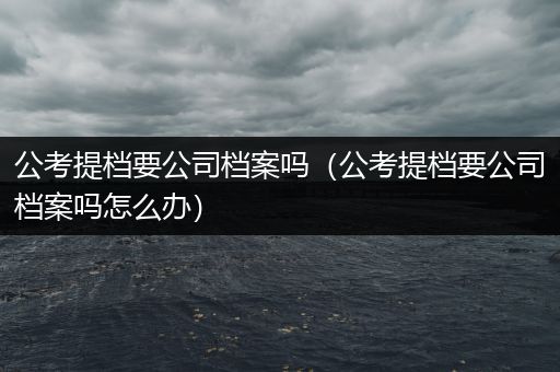 公考提档要公司档案吗（公考提档要公司档案吗怎么办）