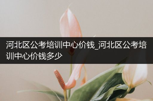 河北区公考培训中心价钱_河北区公考培训中心价钱多少