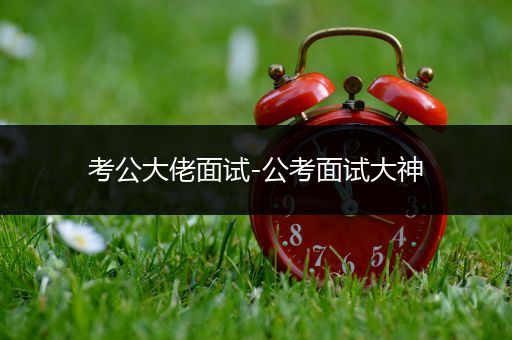 考公大佬面试-公考面试大神