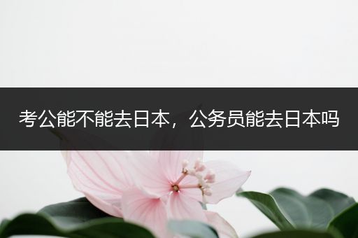 考公能不能去日本，公务员能去日本吗