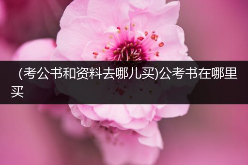 （考公书和资料去哪儿买)公考书在哪里买