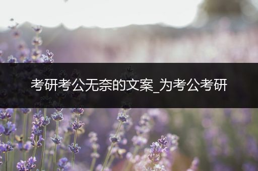 考研考公无奈的文案_为考公考研
