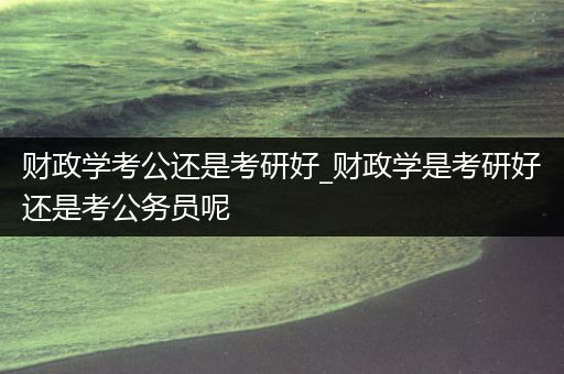 财政学考公还是考研好_财政学是考研好还是考公务员呢