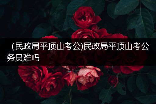 （民政局平顶山考公)民政局平顶山考公务员难吗