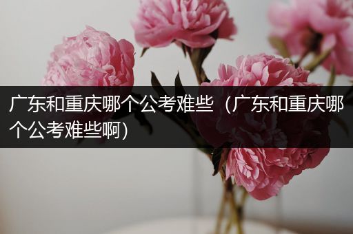 广东和重庆哪个公考难些（广东和重庆哪个公考难些啊）