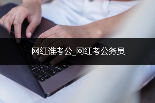 网红谁考公_网红考公务员