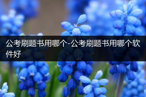 公考刷题书用哪个-公考刷题书用哪个软件好