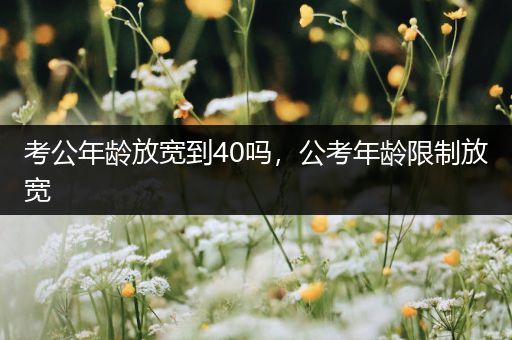 考公年龄放宽到40吗，公考年龄限制放宽