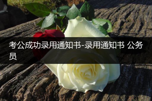 考公成功录用通知书-录用通知书 公务员