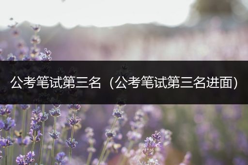 公考笔试第三名（公考笔试第三名进面）