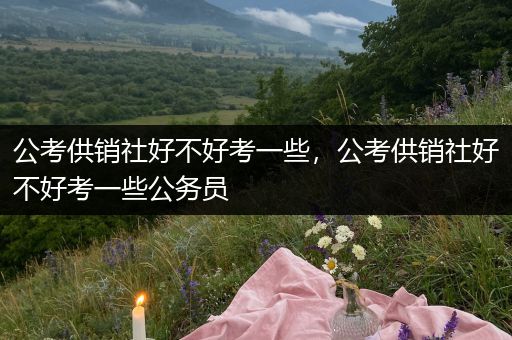 公考供销社好不好考一些，公考供销社好不好考一些公务员