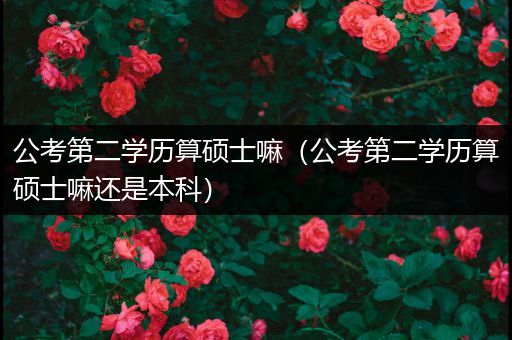 公考第二学历算硕士嘛（公考第二学历算硕士嘛还是本科）