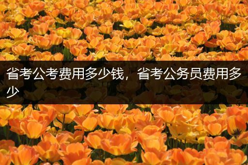 省考公考费用多少钱，省考公务员费用多少