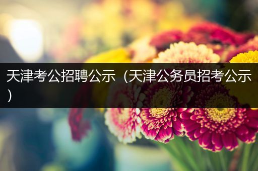 天津考公招聘公示（天津公务员招考公示）