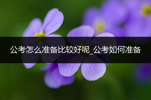 公考怎么准备比较好呢_公考如何准备