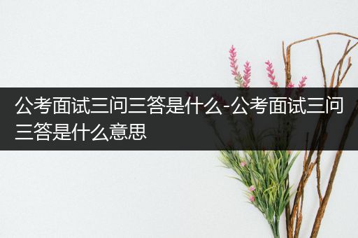 公考面试三问三答是什么-公考面试三问三答是什么意思