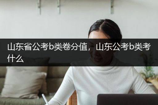 山东省公考b类卷分值，山东公考b类考什么