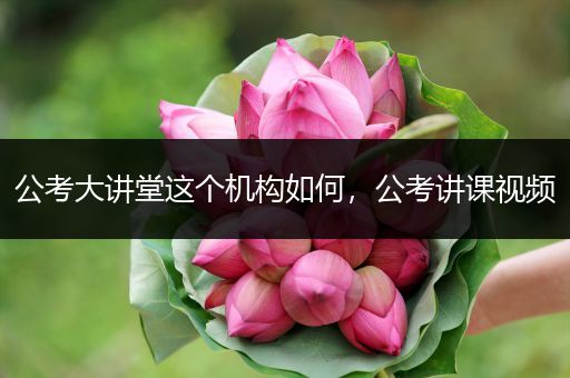 公考大讲堂这个机构如何，公考讲课视频