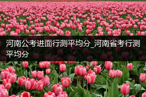 河南公考进面行测平均分_河南省考行测平均分