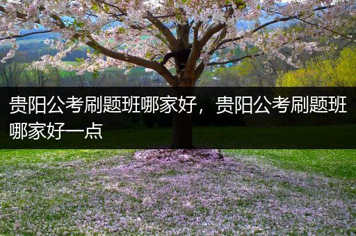 贵阳公考刷题班哪家好，贵阳公考刷题班哪家好一点