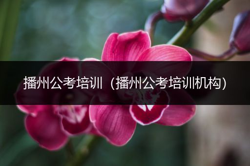 播州公考培训（播州公考培训机构）