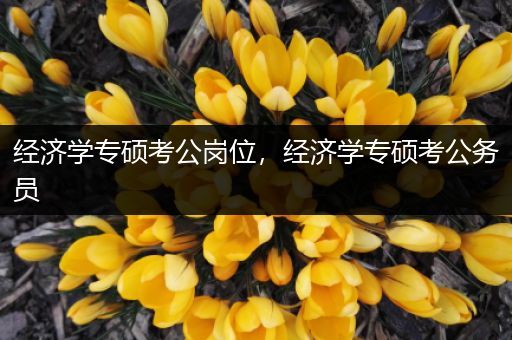 经济学专硕考公岗位，经济学专硕考公务员