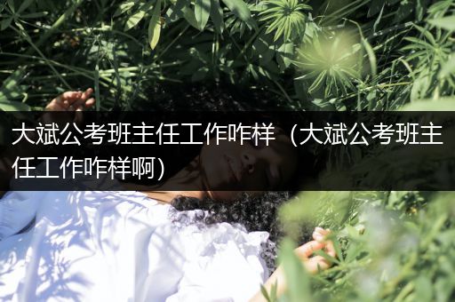 大斌公考班主任工作咋样（大斌公考班主任工作咋样啊）