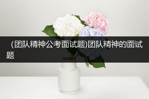 （团队精神公考面试题)团队精神的面试题