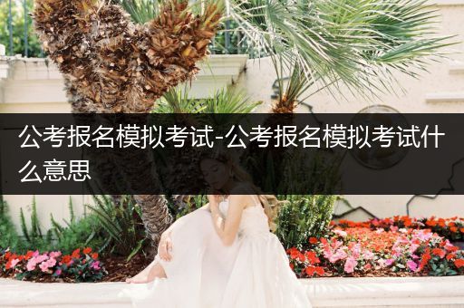 公考报名模拟考试-公考报名模拟考试什么意思