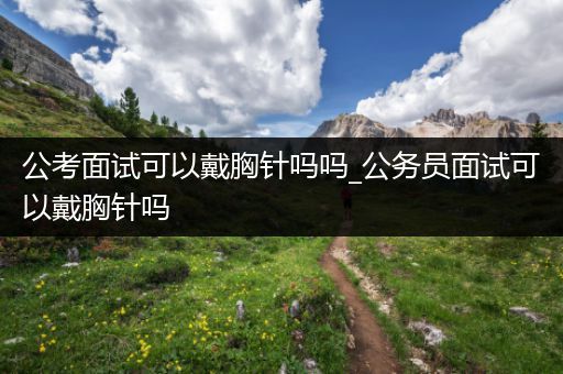 公考面试可以戴胸针吗吗_公务员面试可以戴胸针吗